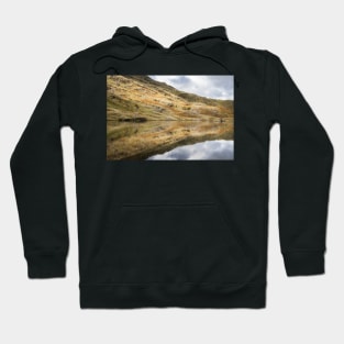 Codale Reflections Hoodie